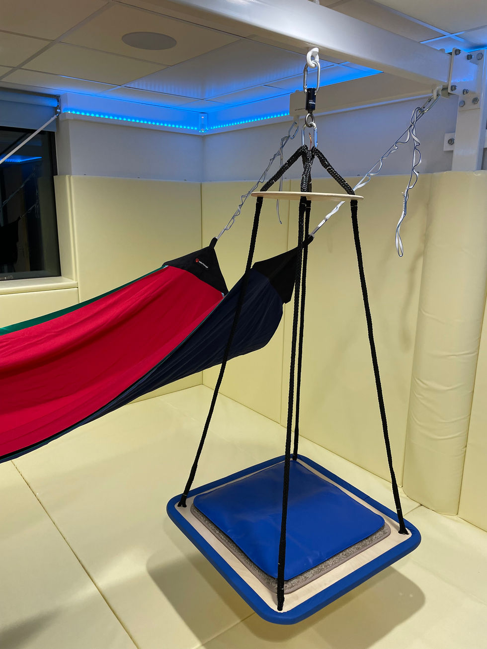 Two of the hanging points on the hammock swing with adjustable straps and the hanging platform swing at the front.