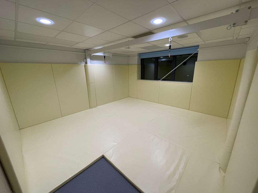 Fully enclosed wraparound padded safety environment and cream vinyl with the bespoke safety beam across the full width of the room rated to 455 kg