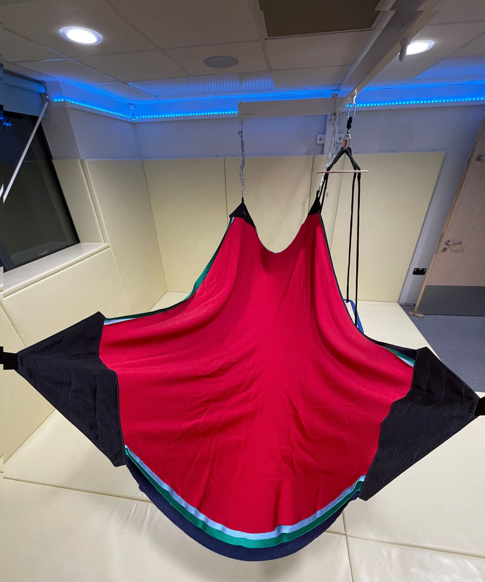 Hung from 2 -4 points this incredible stretch lycra hammock swing can operate in so many different ways depending on how it is hung.