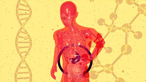 anatomy-7111050_1280.jpg