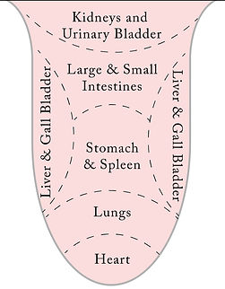 Tongue TCM chart_edited.jpg