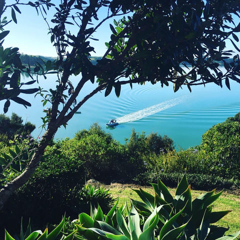 Blue sea, boat, trees