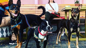 You're the Sprinkles to my Ice Cream