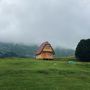 lera-nekrashevich-Yd59eQJVYAo-unsplash.jpg