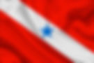 bandeira-do-para.jpg