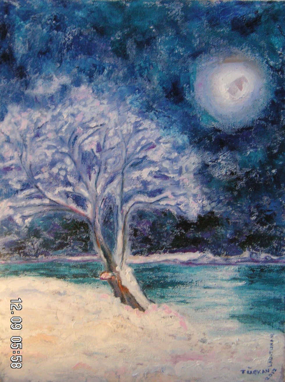 Mondlandschaft