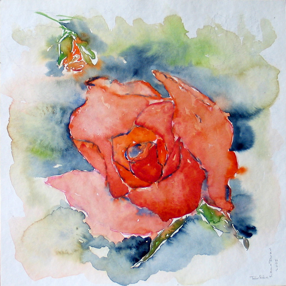 Rose in Orange