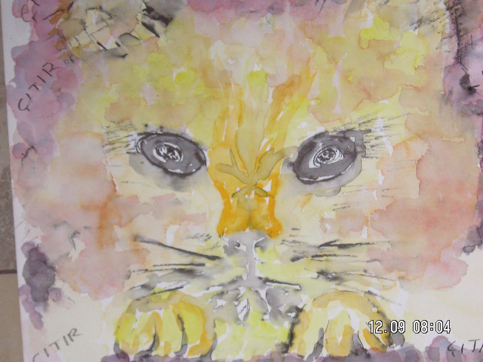 CITIR (Katze)