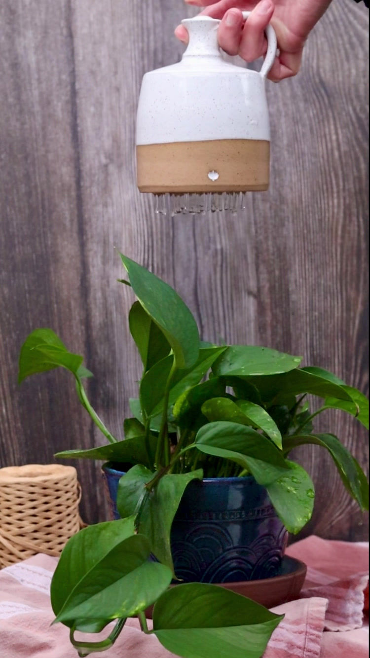 Thumbnail: French Watering Bell