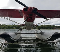 image_72192707 (2).JPG