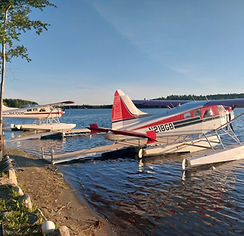 Beavers parked on 4800 Lifts.jpg