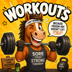 Summer Workout Nights