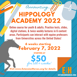 Hippology Academy 2022