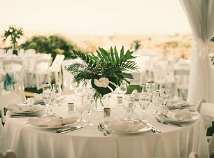 ocean_club_9-1024X_edited.jpg