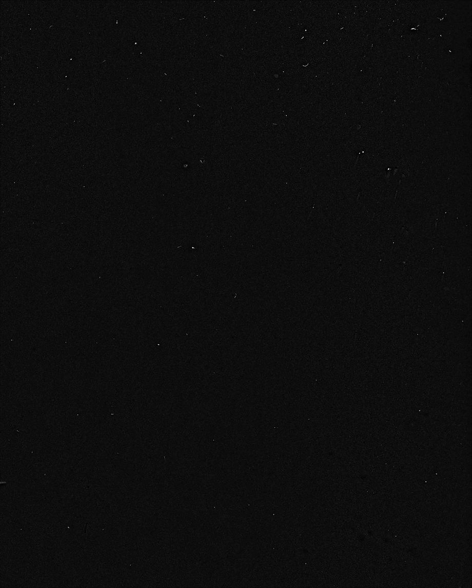 SDF-EUROPE-BACKGROUND.jpg