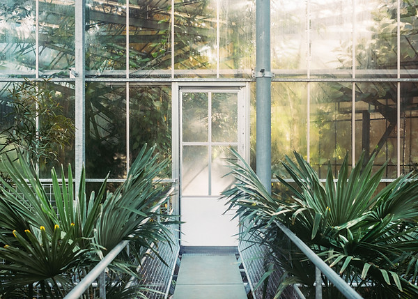 Green House