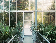 Green House