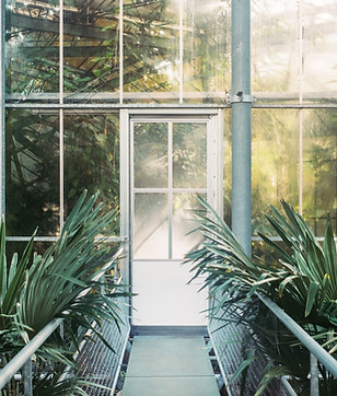 Green House