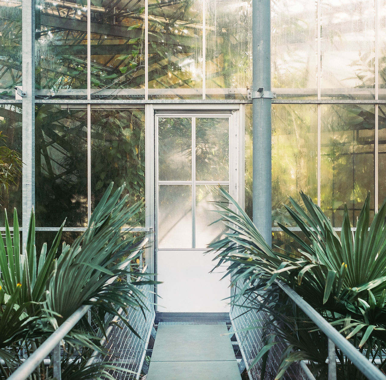 Green House