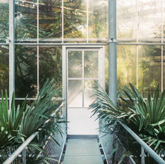 Green House
