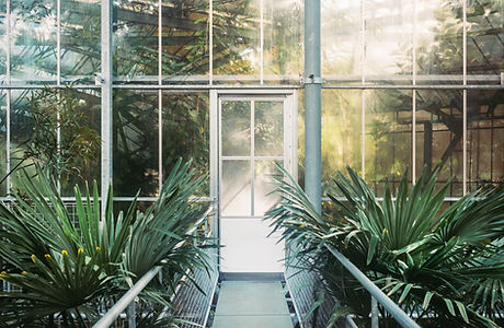 Green House