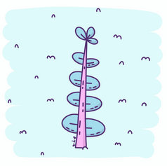 3.png