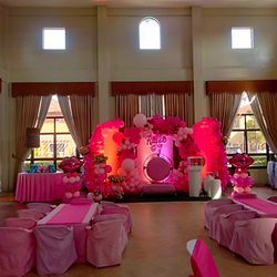 barbie theme backdrop