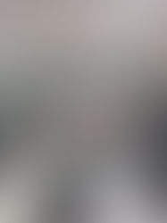 MSc's Thesis on Sustainable Fashion Supply Chains [Abstract]