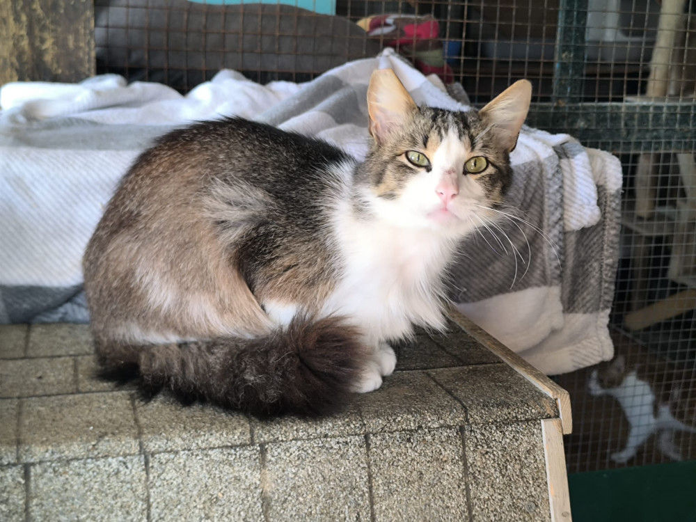 Peter - geb. 01.2025