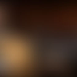 Noch ist der Kampf gegen die Linzer „Ostumfahrung“ nicht gewonnen...