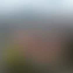 Donaugarage: Neue Ideen gefragt