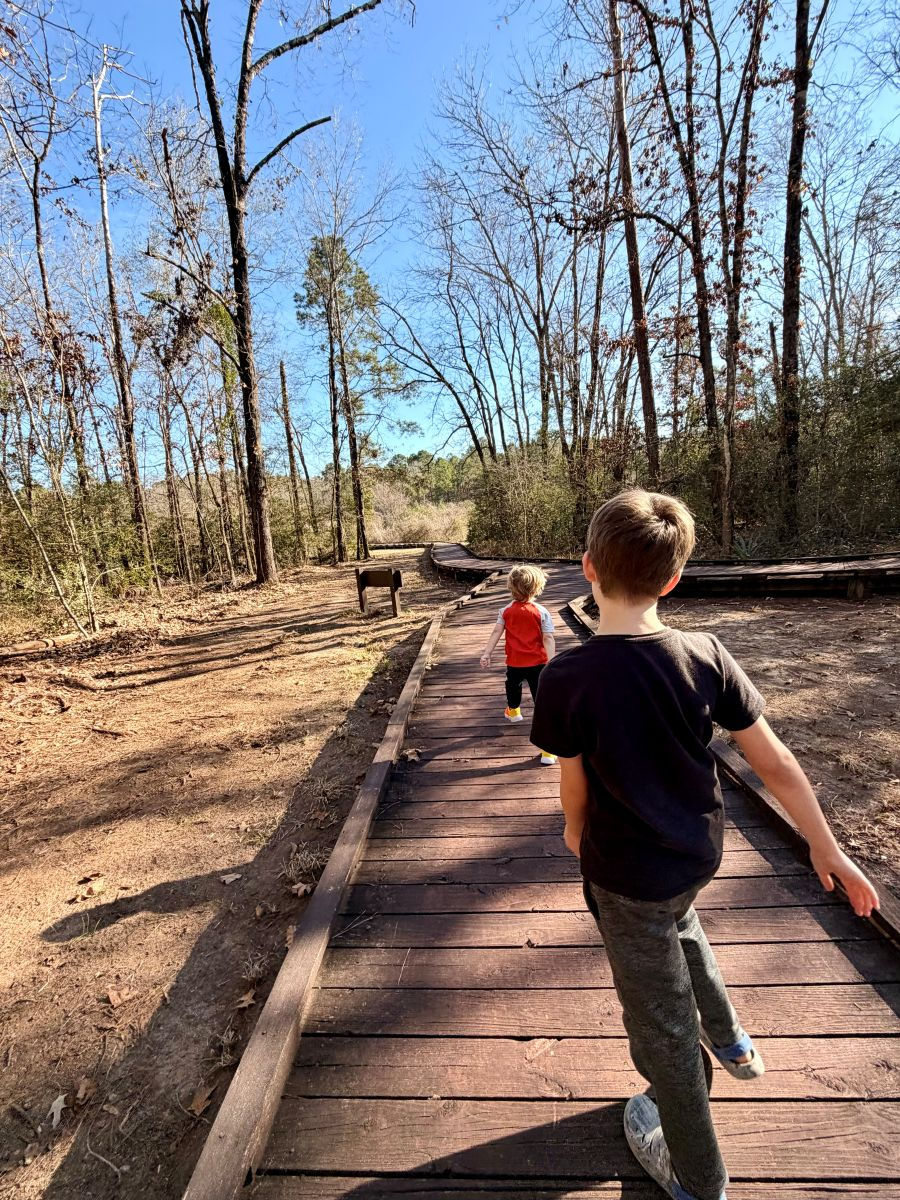 Pineywoods Boardwalk Trail at Lake Livingston State Park in East Texas.