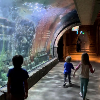 Children walking through the aquarium tunnel at the Downtown Aquarium in Houston.