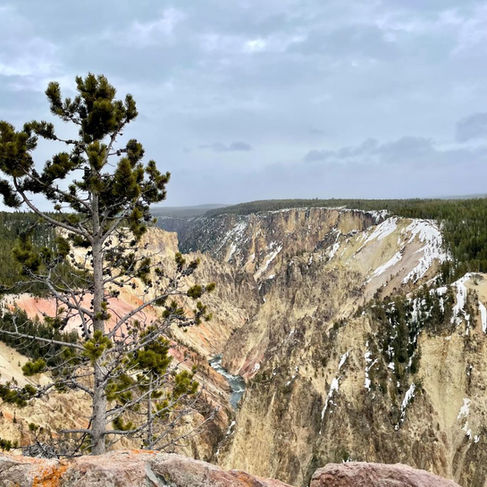 Grand Canyon of the Yellowstone