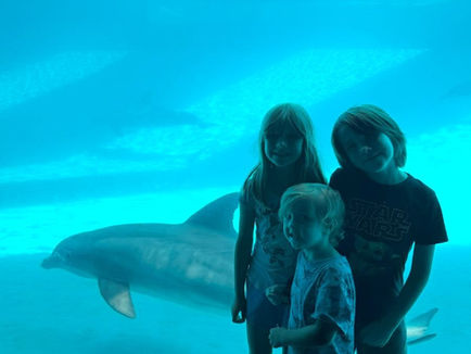 Family Traveling USA at Dolphin Bay Underwater Viewing Texas State Aquarium
