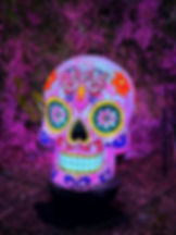 Colorful decorated skull lantern with floral patterns glows amid purple-lit foliage at night, creating a festive and vibrant atmosphere.