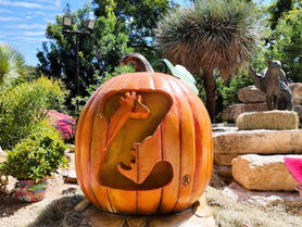 Large orange pumpkin carving with a "Z" and giraffe, set in a lush garden. Child in red hat gazing at it, bright and sunny day.