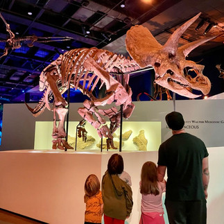Family viewing the Triceratops fossil exhibit at Houston Museum of Natural Science.
