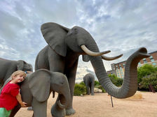 Elephant statues outside Kalahari Resort in Round Rock, Texas.