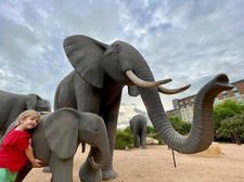 Elephant statues outside Kalahari Resort in Round Rock, Texas.