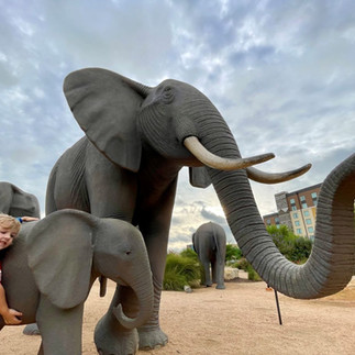 Elephant statues outside Kalahari Resort in Round Rock, Texas.
