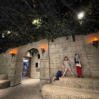 Inside the white tiger area of the Downtown Aquarium in Houston, Texas.