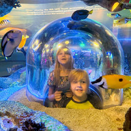 Family Traveling USA visiting SEA LIFE Grapevine Aquarium