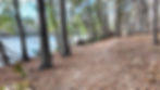 Easy hiking trail along the lake at Huntsville State Park in East Texas