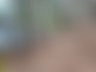 Easy hiking trail along the lake at Huntsville State Park in East Texas