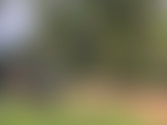 Beberapa jalan dan kawasan di Gua Musang mula dinaiki air