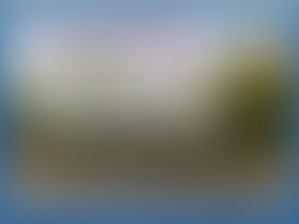 "The Sidewalk Report" is my new side gig as a micro local reporter.