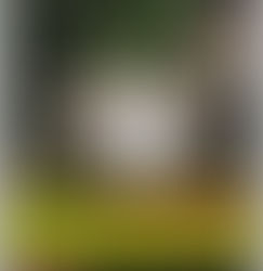 Busy week! New photos and adapting books to Screenplay!