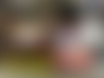 Book Signing Event! W/ WWE Hall of Famer & More!