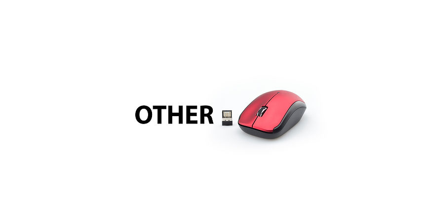 OTHER.jpg